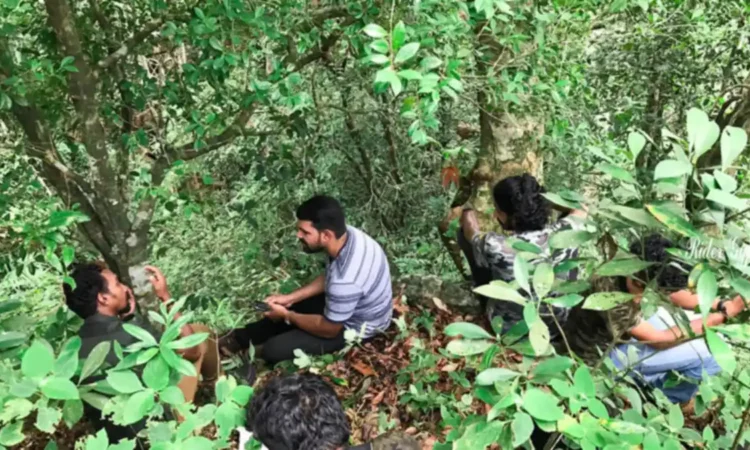 18 Km Trek
