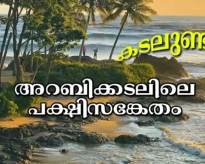 Kadalundi