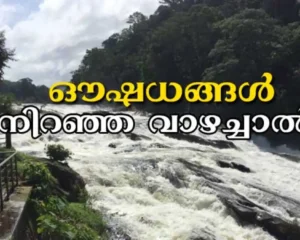 Athirappilly Vazhachal Falls