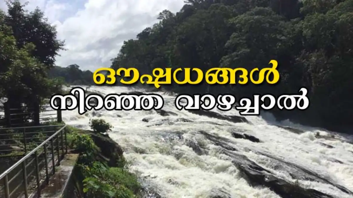 Athirappilly Vazhachal Falls