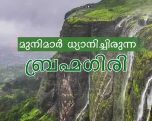 Brahmagiri