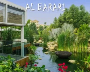 Dubai Forest