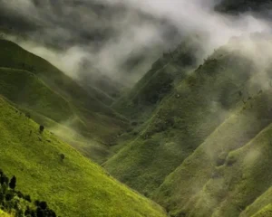 Dzukou Valley