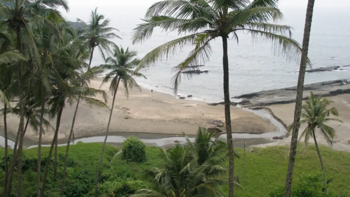 ഗോവയിലെ തെങ്ങിൻതോപ്പും തീരവും