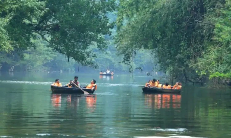 Hogenakkal Falls