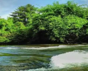 Janakikkad