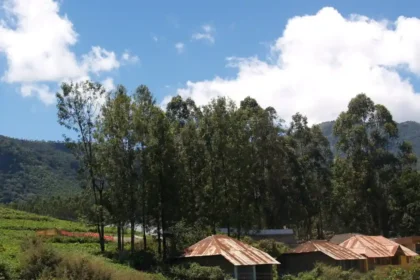 Kanthalloor tourist places – കാന്തല്ലൂരിലെ മലയോര ഗ്രാമം