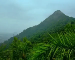 Kottayam View Point
