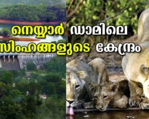 Neyyar