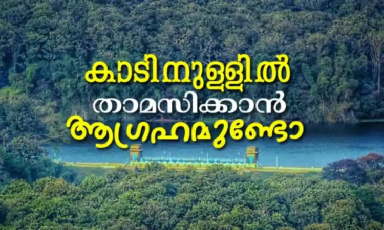 Palakkad Homestay