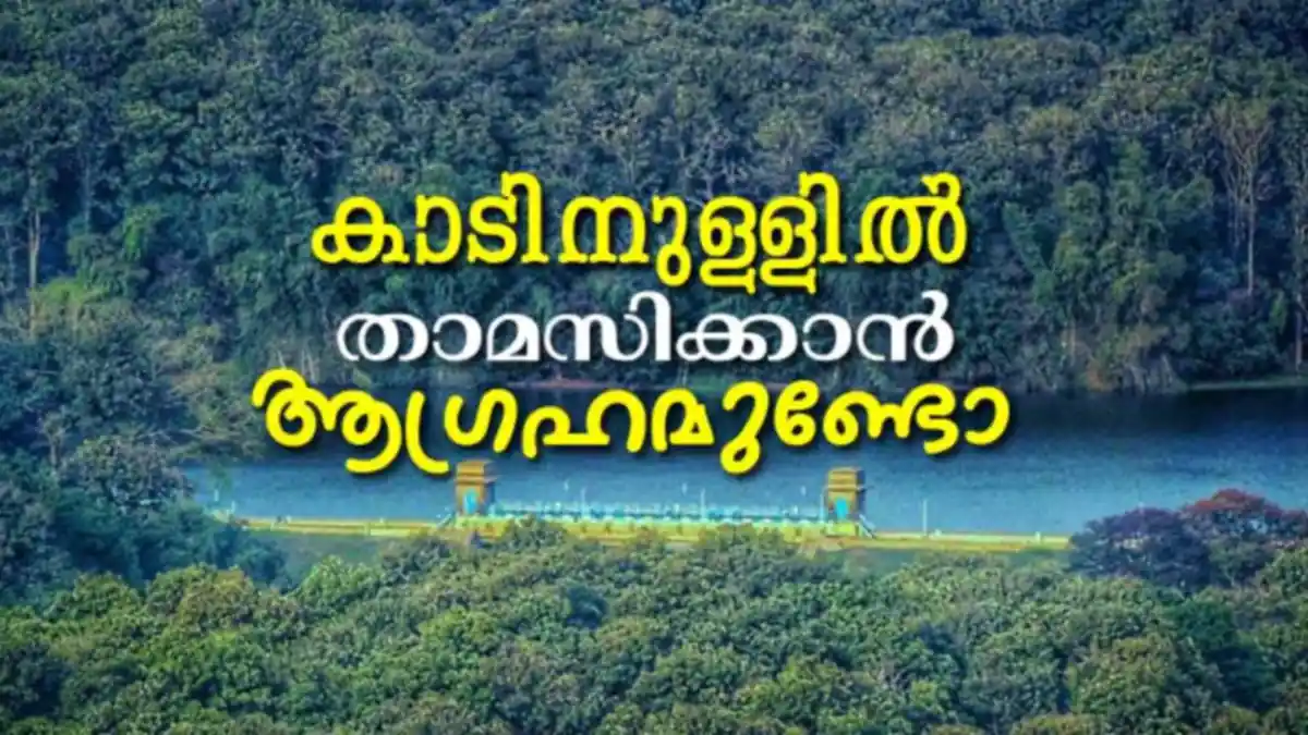 Palakkad Homestay