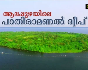 Pathiramanal Island