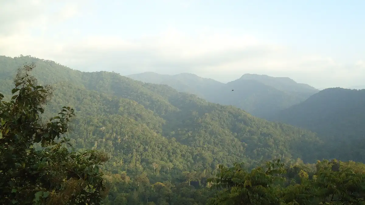 ശബരിമല ക്ഷേത്രവും പതിനെട്ടാംപടിയും