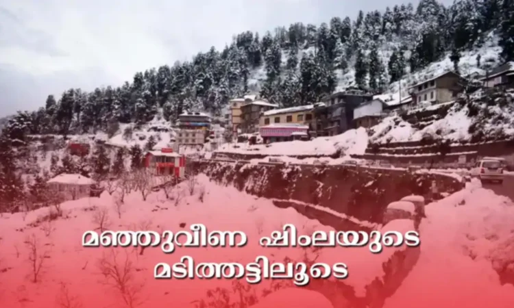 Shimla Snowfall