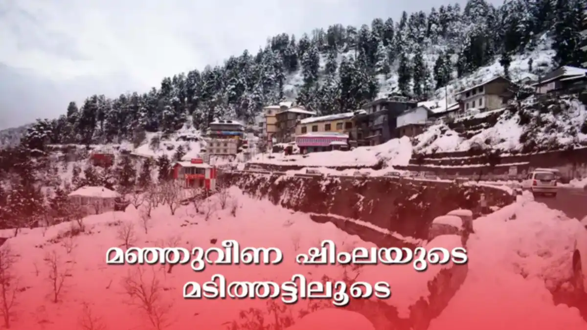 Shimla Snowfall