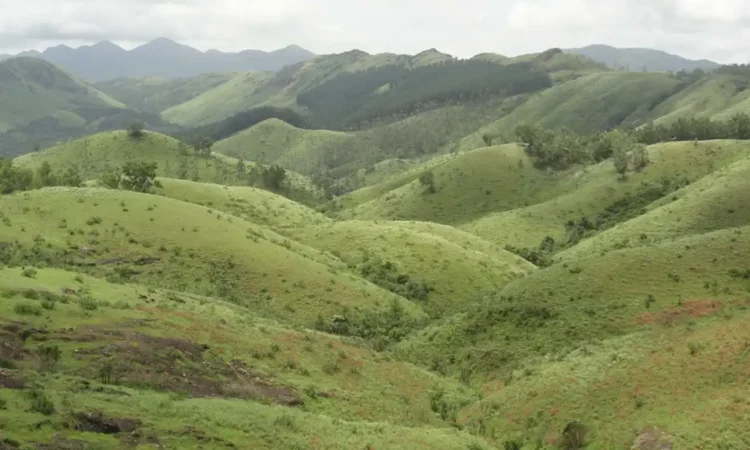 Vagamon tourist places – വാഗമൺ മൊട്ടക്കുന്നുകൾ