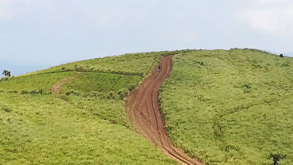 വാഗമൺ കുന്നിലേക്കുള്ള നടപ്പാത