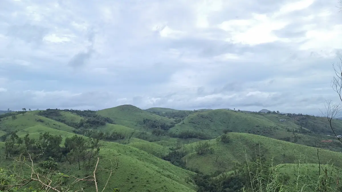 വാഗമണിലെ പച്ചപ്പ് നിറഞ്ഞ മലനിരകൾ